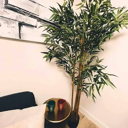 شقة Chiado Brand New Amazing In *